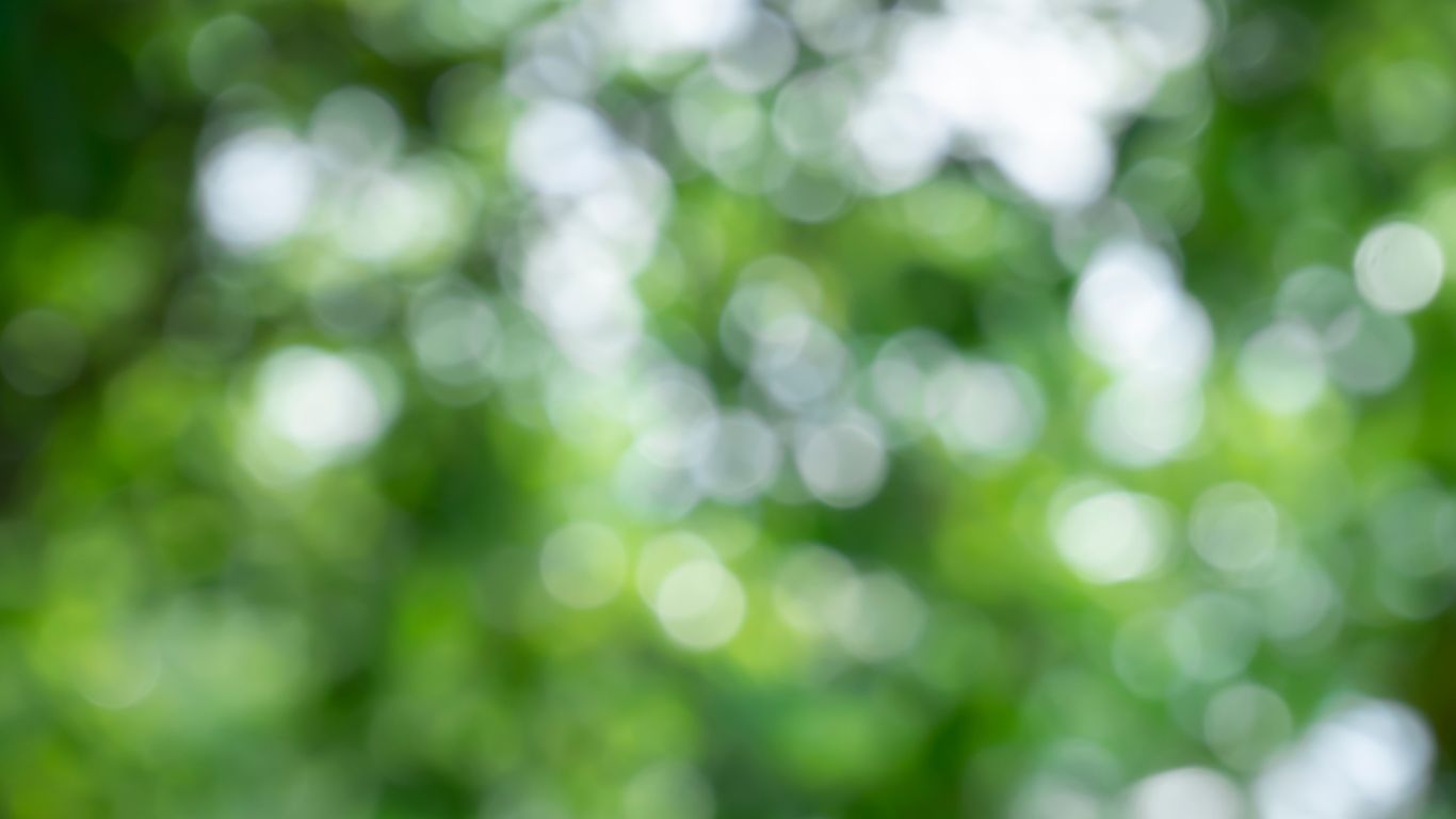 widget_50_7_slide_1_bg1782996799.jpg